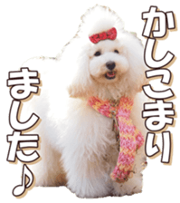 doggiesfan6 sticker #14568625