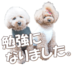 doggiesfan6 sticker #14568627