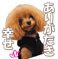 doggiesfan6 sticker #14568630