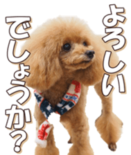 doggiesfan6 sticker #14568632