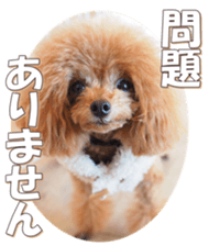 doggiesfan6 sticker #14568634
