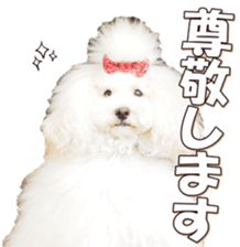 doggiesfan6 sticker #14568639