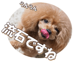 doggiesfan6 sticker #14568640