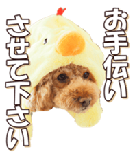 doggiesfan6 sticker #14568644