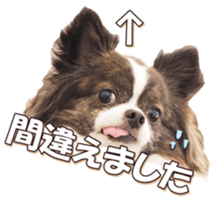 doggiesfan6 sticker #14568652