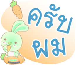 Rabbito : Happy Day sticker #14570005
