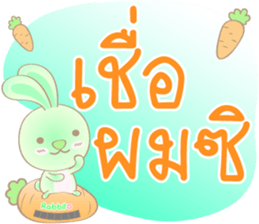 Rabbito : Happy Day sticker #14570006