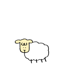 every day sheep