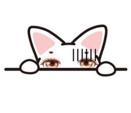 white cat Mecco. sticker #14570829