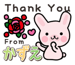 Ham-Usa for Kazue sticker #14571505