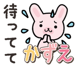 Ham-Usa for Kazue sticker #14571521