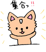 Riku & Momo sticker #14574079