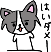 Riku & Momo sticker #14574102