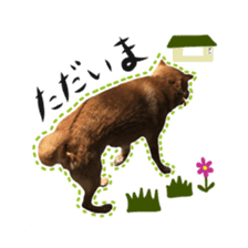 Shiba dog? GON-SAN sticker #14577304