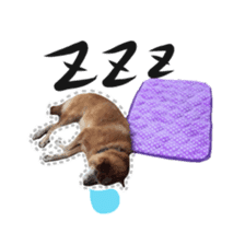 Shiba dog? GON-SAN sticker #14577309