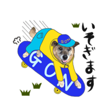 Shiba dog? GON-SAN sticker #14577312