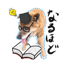 Shiba dog? GON-SAN sticker #14577313