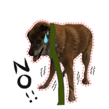 Shiba dog? GON-SAN sticker #14577317
