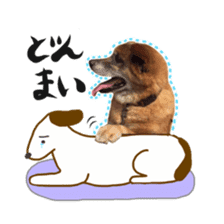 Shiba dog? GON-SAN sticker #14577324