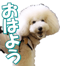 doggiesfan7 sticker #14578332