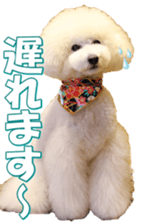 doggiesfan7 sticker #14578334