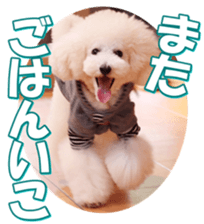 doggiesfan7 sticker #14578336