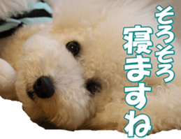 doggiesfan7 sticker #14578342