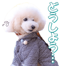 doggiesfan7 sticker #14578344