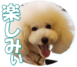 doggiesfan7 sticker #14578346