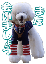 doggiesfan7 sticker #14578350