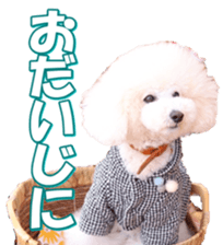 doggiesfan7 sticker #14578352