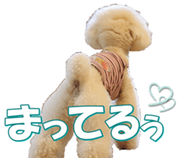 doggiesfan7 sticker #14578354