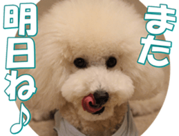 doggiesfan7 sticker #14578356