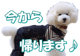 doggiesfan7 sticker #14578358