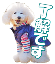 doggiesfan7 sticker #14578360