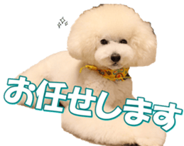 doggiesfan7 sticker #14578362