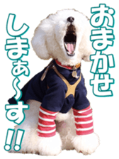 doggiesfan7 sticker #14578366