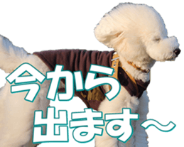 doggiesfan7 sticker #14578368