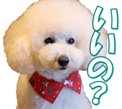 doggiesfan7 sticker #14578370