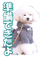 doggiesfan7 sticker #14578372