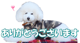 doggiesfan7 sticker #14578374