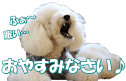 doggiesfan7 sticker #14578376