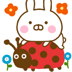 Rabbit Usahina Family Northern Europe