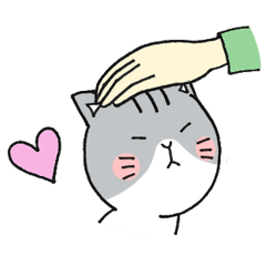 Dekosima cat