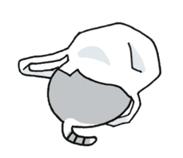 akariya