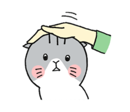 Dekosima cat sticker #14580833