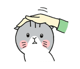 Dekosima cat sticker #14580833
