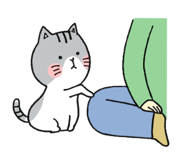 Dekosima cat sticker #14580845