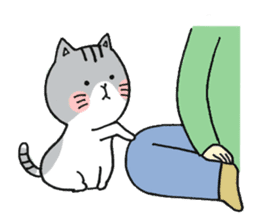 Dekosima cat sticker #14580845