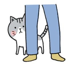 Dekosima cat sticker #14580850
